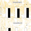 endres_heesemann_infect_immuni_09_500.100x0.jpg