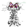 sieber-sattler-buchner-249_aha-hsp90_inhibitor_550.100x0.jpeg